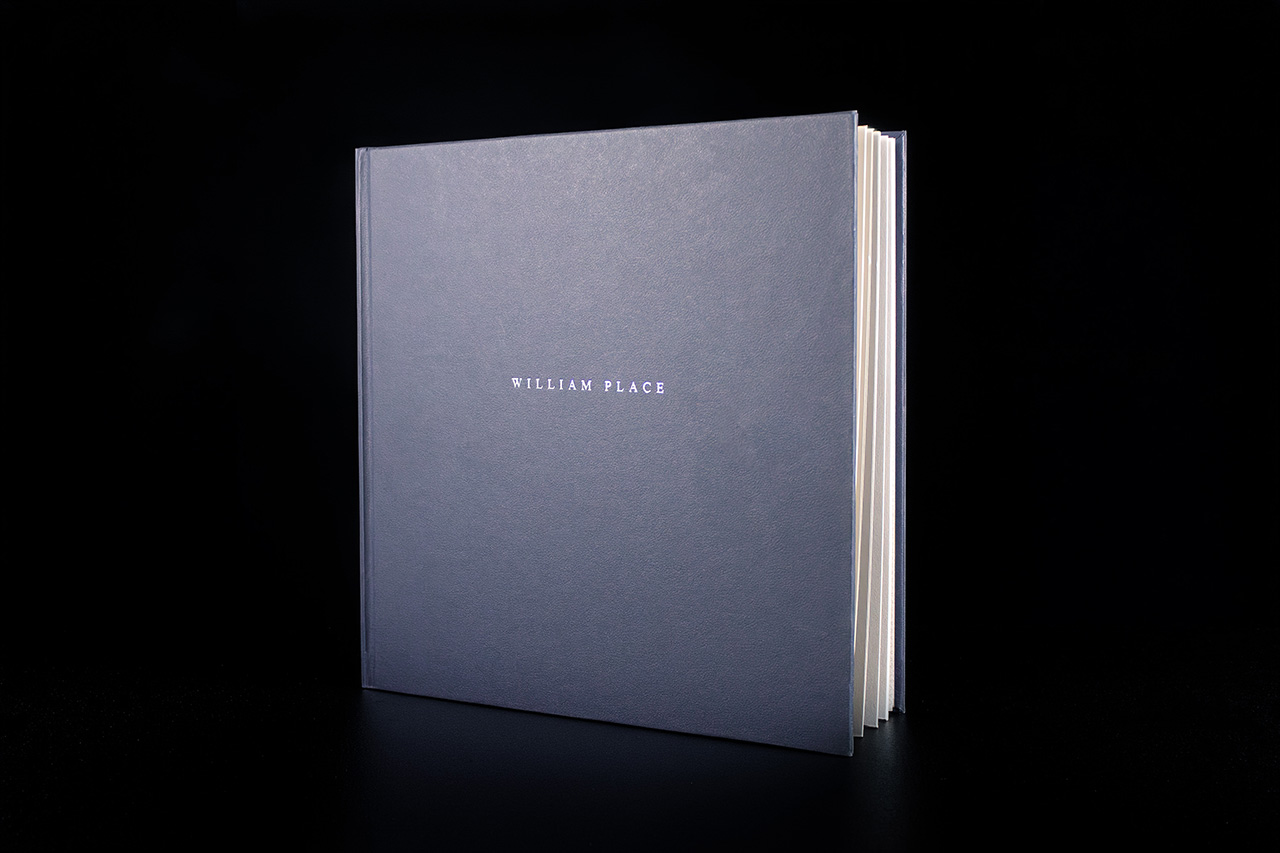 Case Bound Property Brochure | William Place | Dayfold